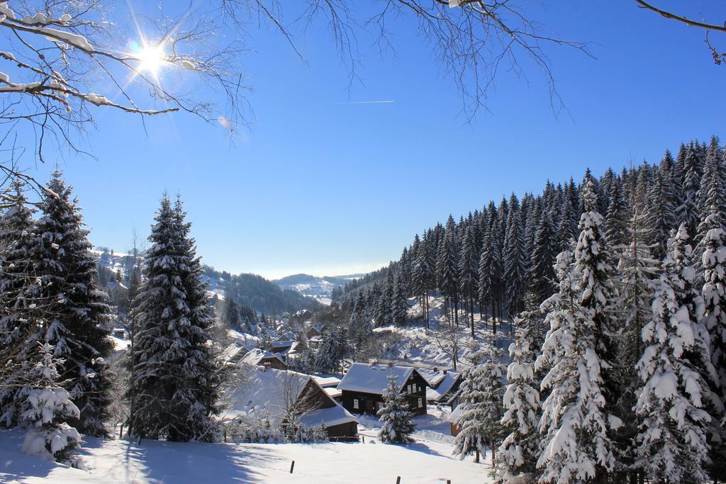 Appartement Ferienhaus Anno Dazumal, Wie Zu Oma'S Zeiten à Klingenthal Extérieur photo